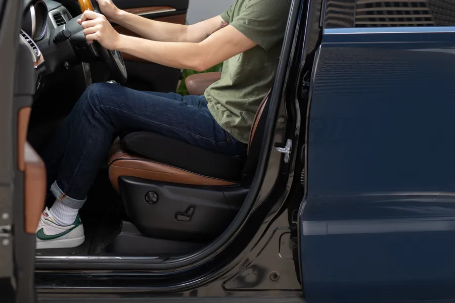 Seat & Lumbar Cushions