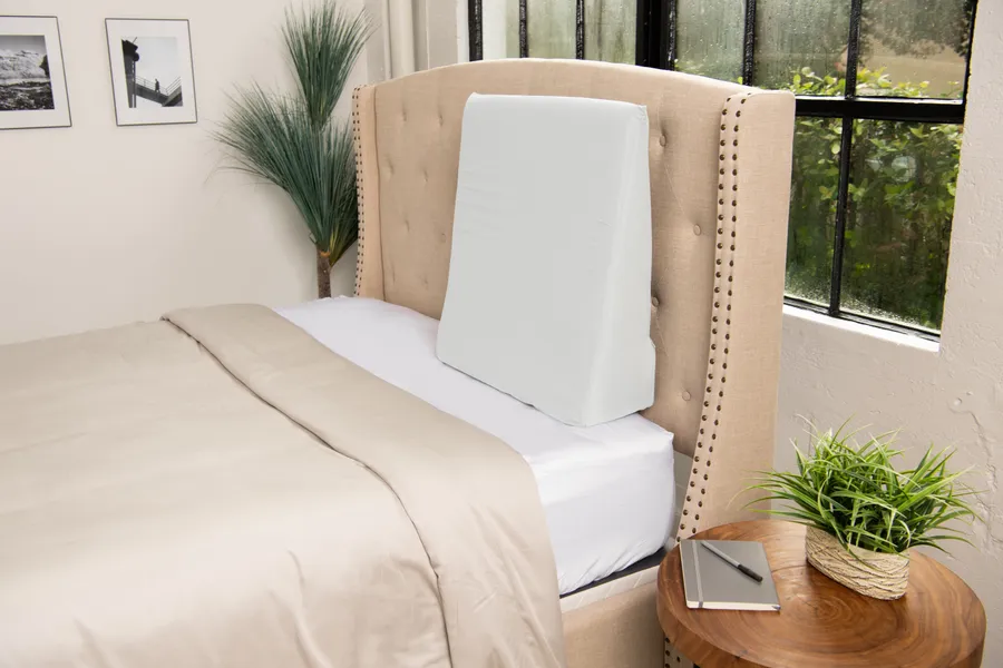 Wedge Pillows